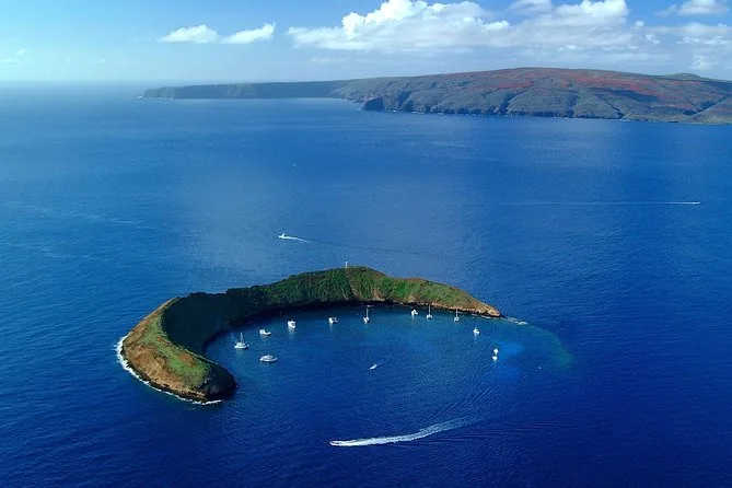 Molokini-Schnorcheltour ab Ma'alaea